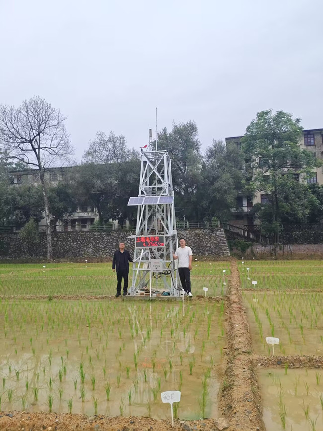 在西芹基地调研.jpg 在西芹基地调研.jpg