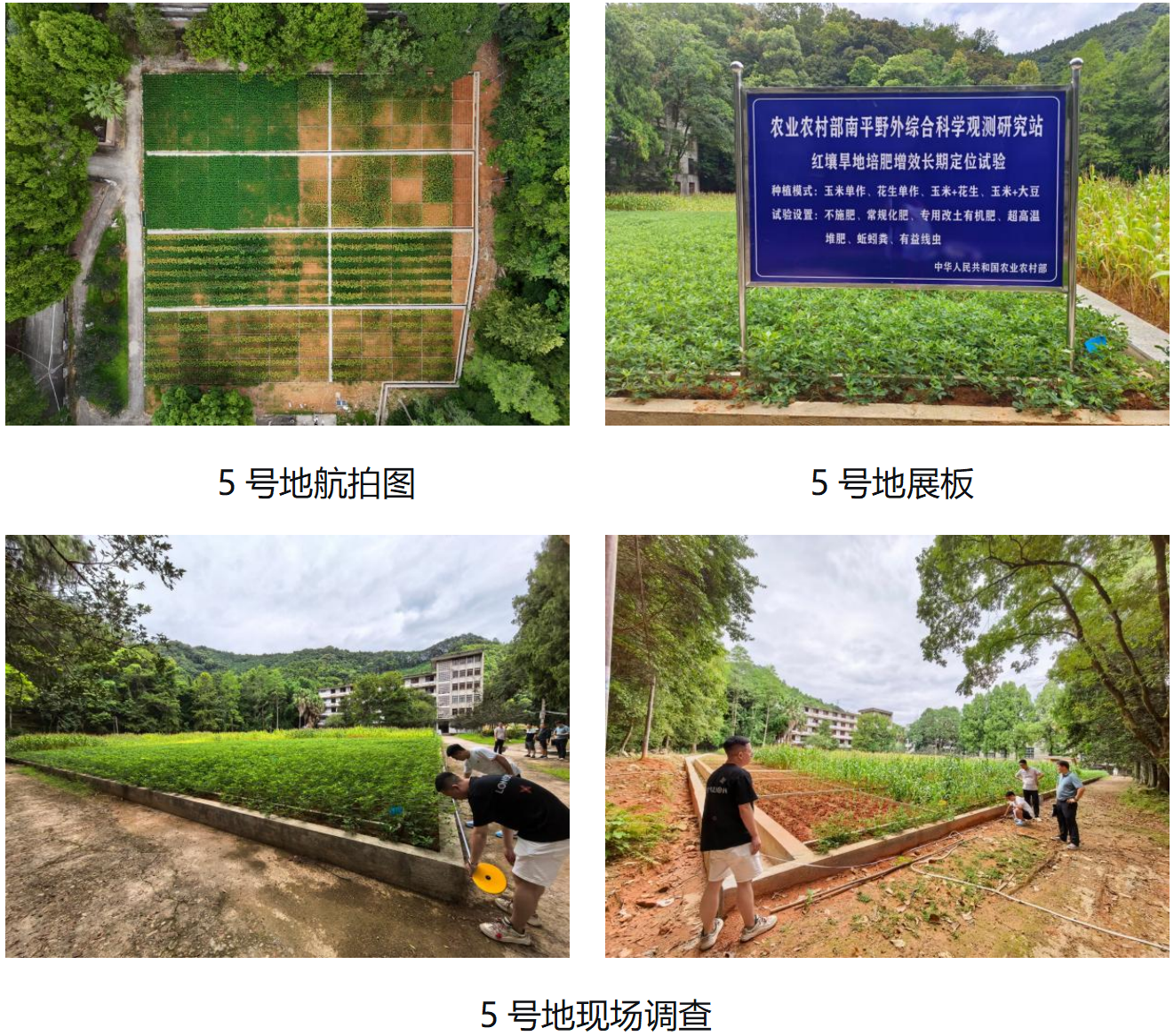 微信图片_2026-07-18_172115_459.png 微信图片_2026-07-18_172115_459.png